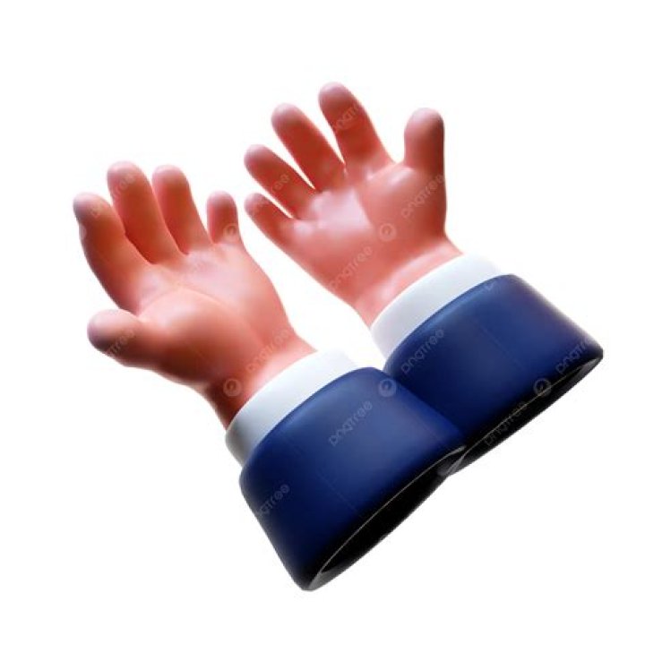 A Comprehensive Look at Ashley Ellerin: Life, Legacy, and Lessons