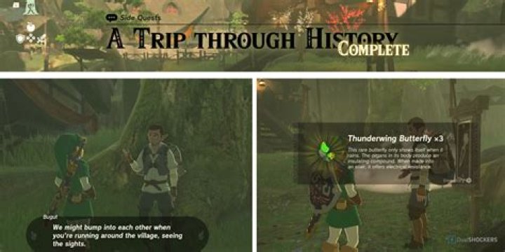 A Journey Through Privacy, Copyright, And