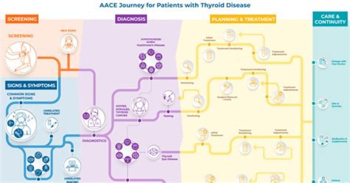 Discoveries And Insights: Joyce Vance's Thyroid Journey