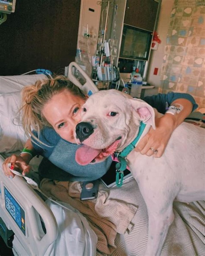 Exploring the Life and Career of Hilary Crowder