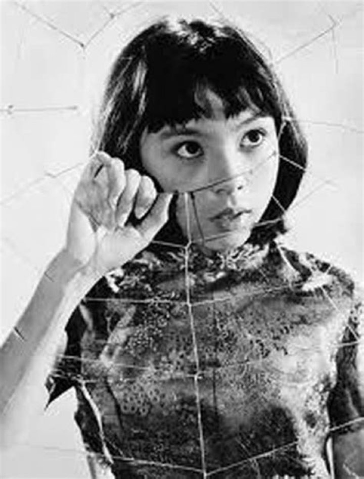 Lynne Sue Moon: Where Is She Now?