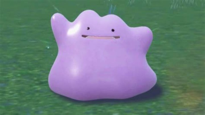 Pokmon Go: amorphous blob Ditto makes its debut | Pokmon Go