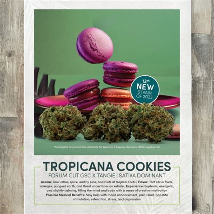 Side Effects and Risks Associated with Consuming the Tropicana Cookies Cannabis Strain