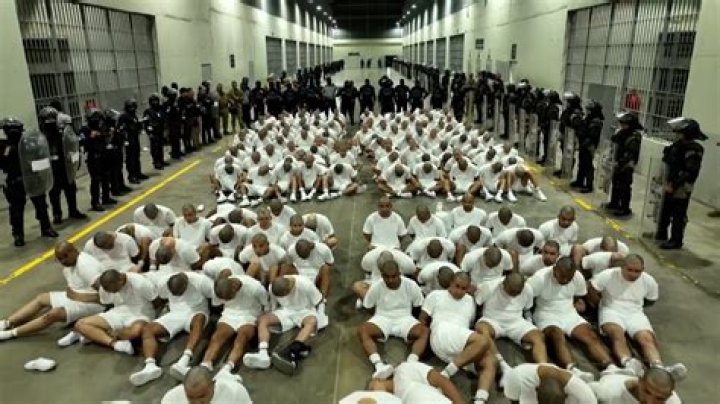 Unraveling The Prison Gang Phenomenon