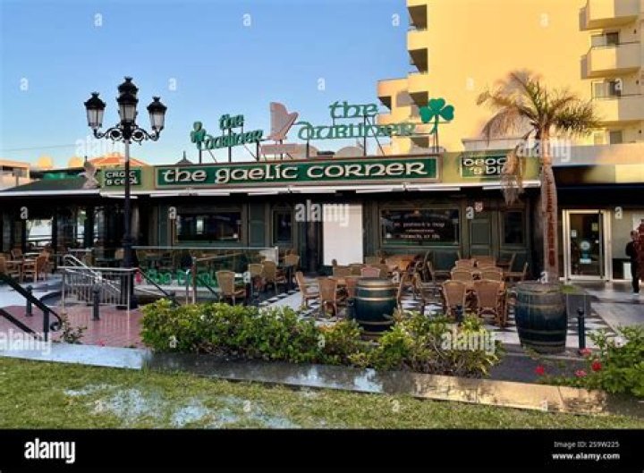 Unveiling The Charm Of The Dubliner Tampa FL: Discoveries And Delights