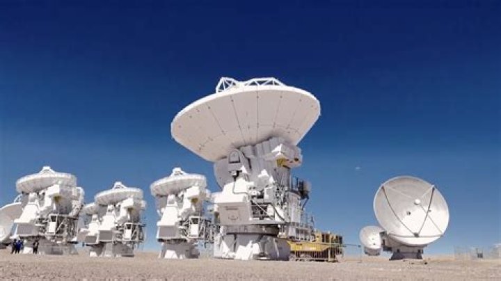 Unveiling The Secrets Of Street Bud Moms: An Exclusive Exploration