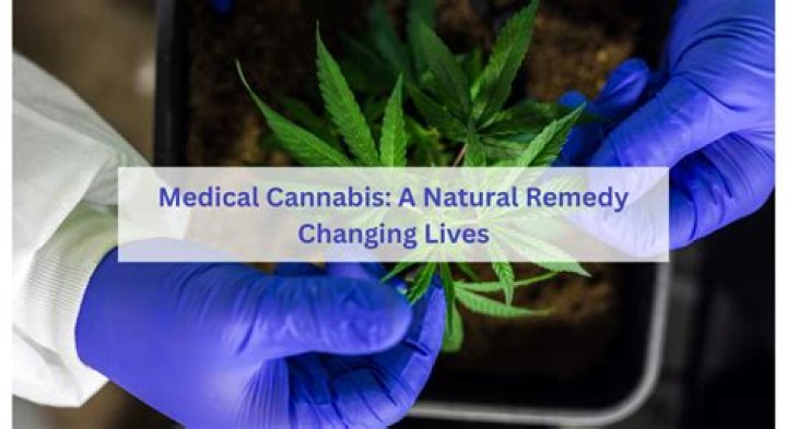 Unveiling The Wonders Of Medical Cannabis With Doctor Ganja