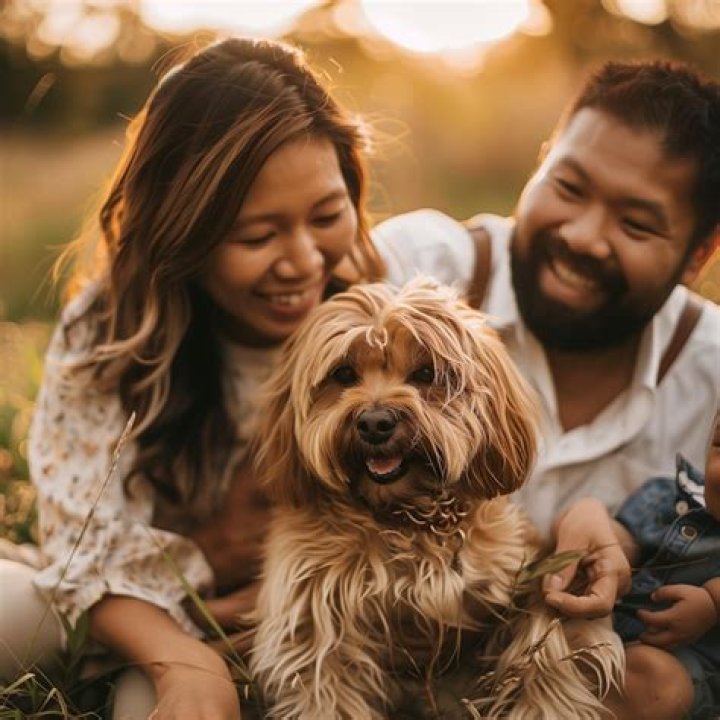 Unveiling The World Of Jason Ralph, His Wife, And Their Beloved Pet